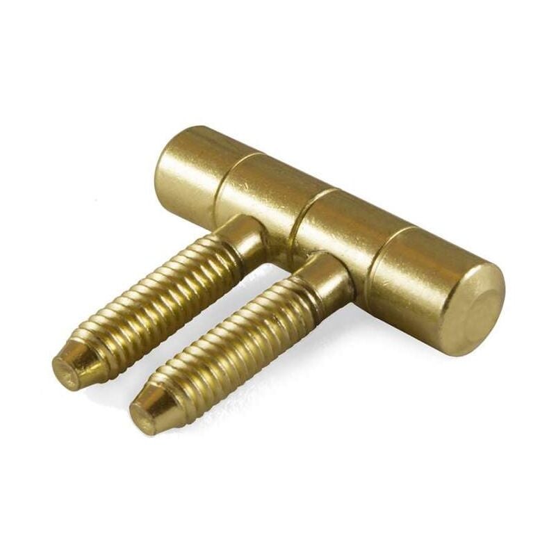 foto del prodotto cerniere per infissi anuba in ferro ottonato 2pz diam 11 mm