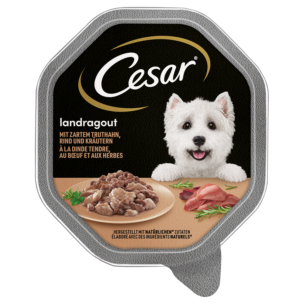 foto del prodotto cesar vaschette 56 x 150 g umido per cane - ricette di campagna tacchino, manzo ed erbe