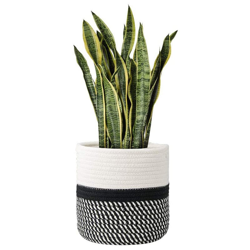 foto del prodotto cestino in cotone intrecciato, cestino in corda di cotone intrecciata per piante, decorazione di vasi di fiori da interno