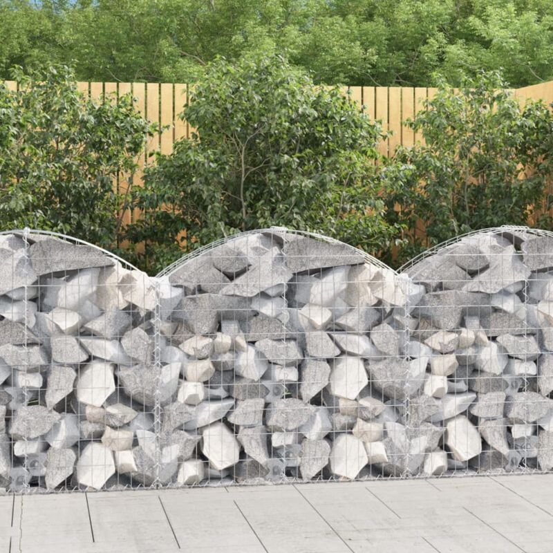 foto del prodotto cesto gabbione ad arco 100x30x80 100 cm ferro zincato vidaxl