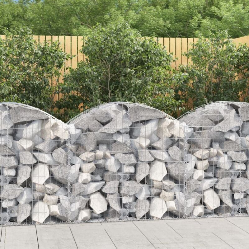 foto del prodotto cesto gabbione ad arco 100x50x80 100 cm ferro zincato vidaxl