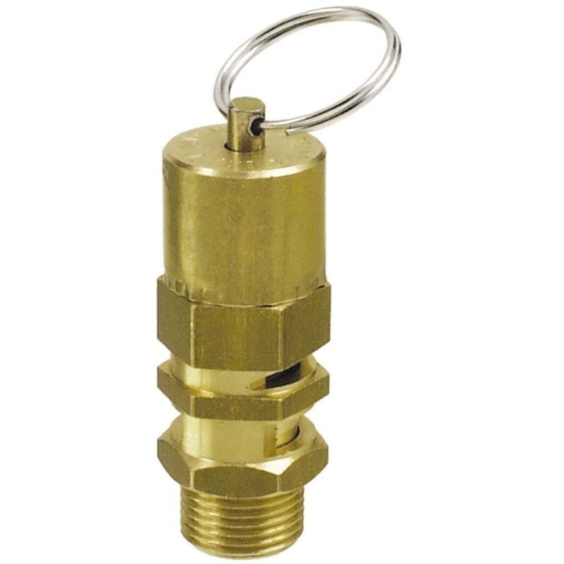 foto del prodotto cevik ca 565 4 accessorio per neumatica valvola di sicurezza 3 8 