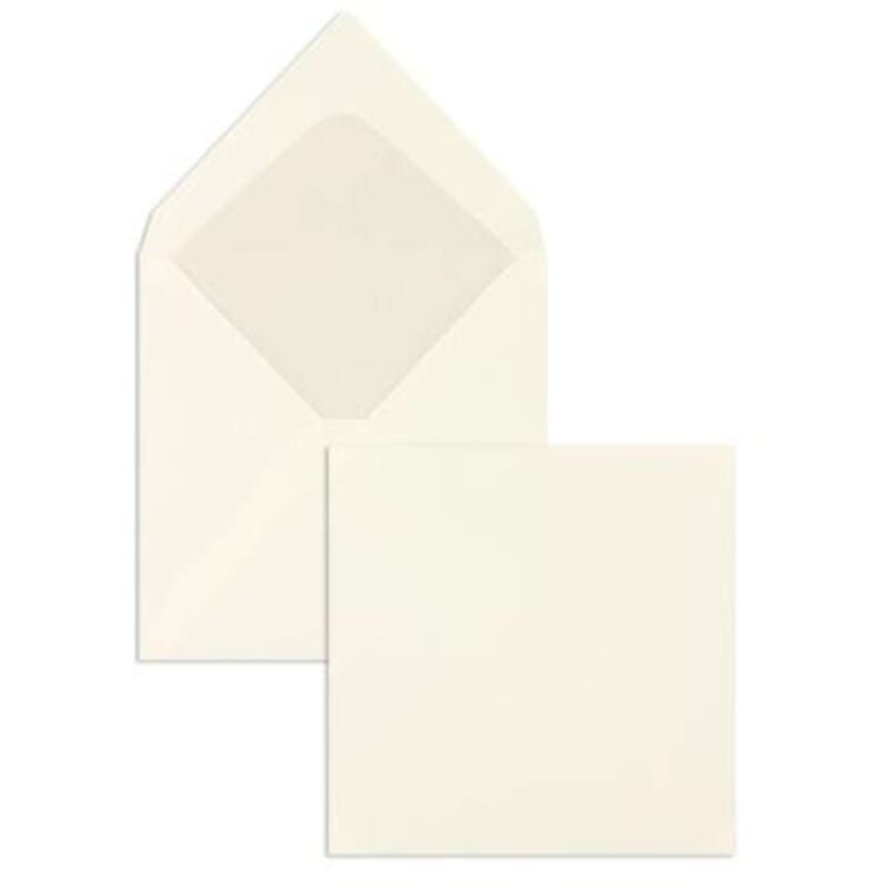 foto del prodotto cf.100 buste 14.5x14.5 bianco vittoria t. punta x1