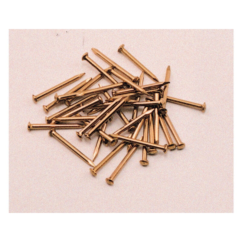 foto del prodotto cf 60 gr di punte puntine testa bombata in ottone mm 1,5x18 chiodini semenze