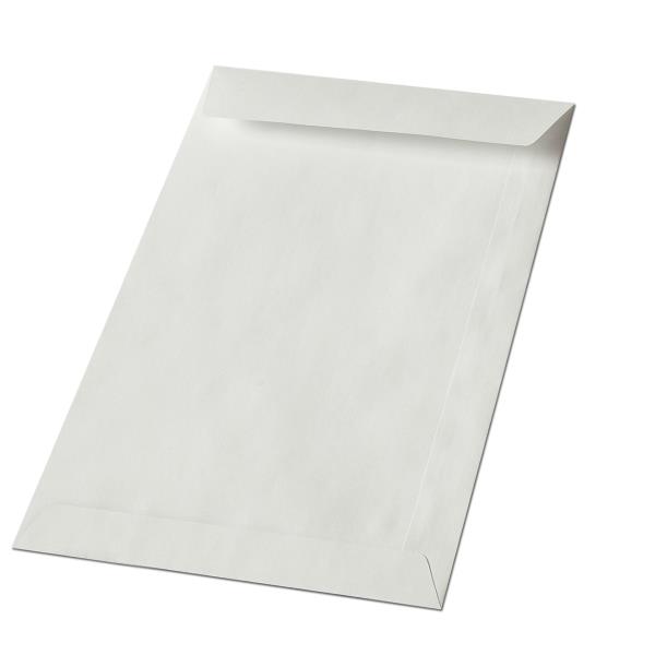 foto del prodotto cf1000 buste sacco bianco 10x15