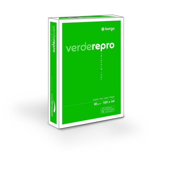 foto del prodotto cf5risme repro80 verde a3 80g mq