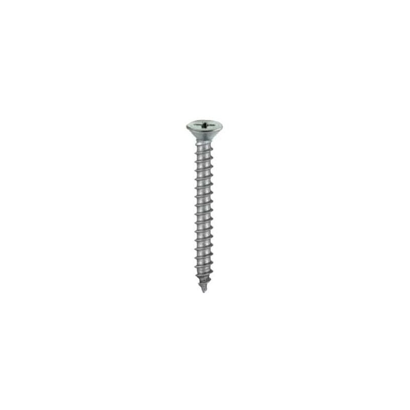 foto del prodotto cfadda viti autofilettanti testa piana svasata inox 4,2 x 16 20 pz.