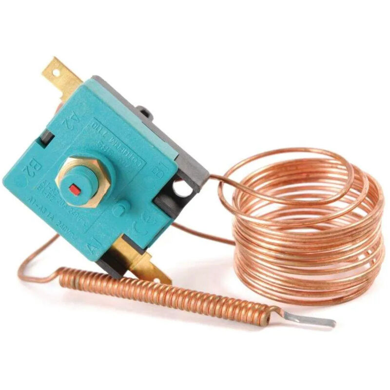foto del prodotto chaffoteaux termostato per lampadine spot per styx tes12, 16, 20