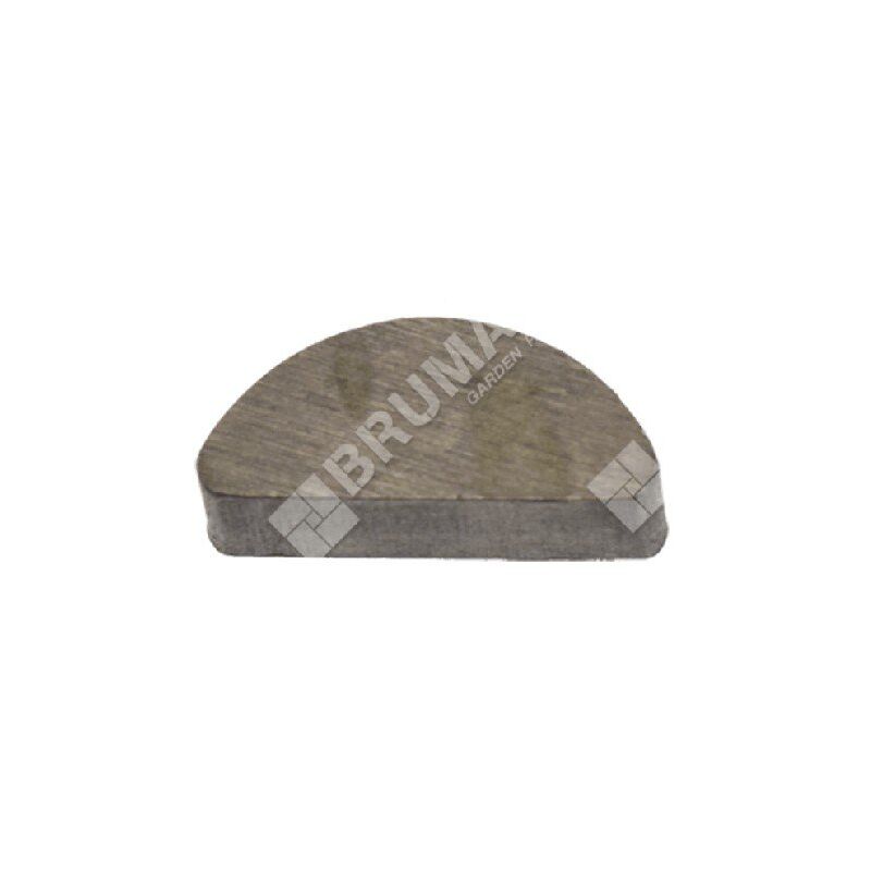 foto del prodotto chiavetta per motori daye daye e 26809003901 compatibile 037848