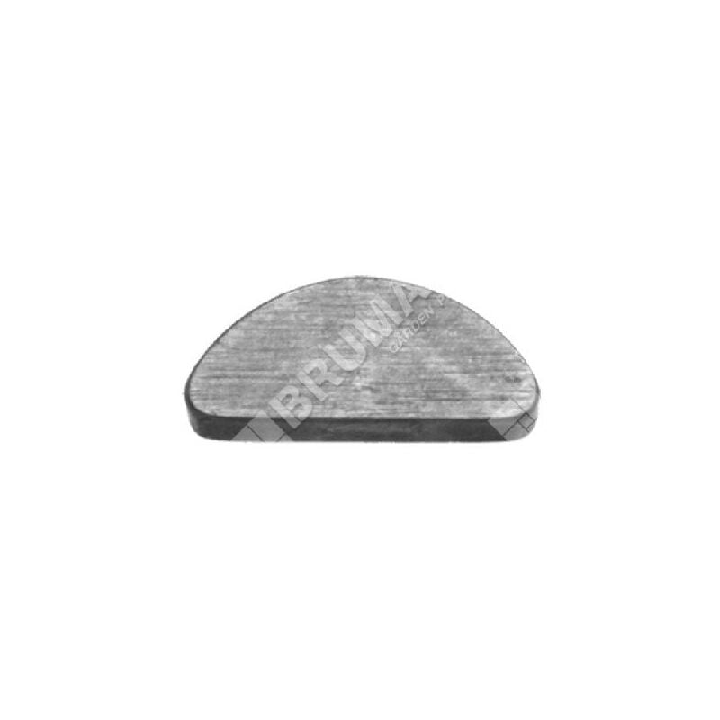 foto del prodotto chiavetta per motori taya sandrigarden 2023160 compatibile 010868