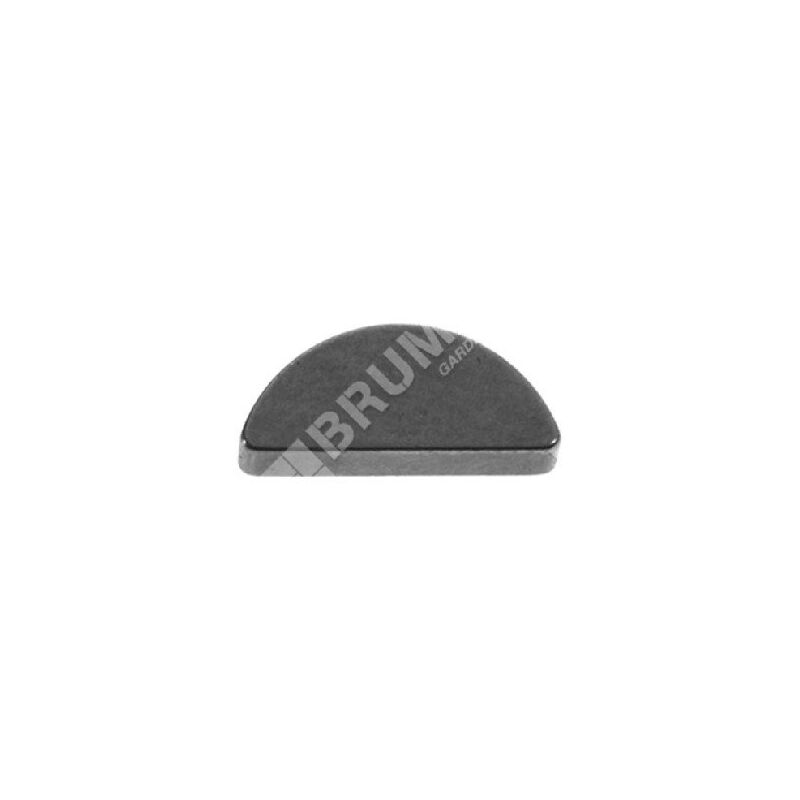 foto del prodotto chiavetta per motoseghe asia-china compatibile - 038838