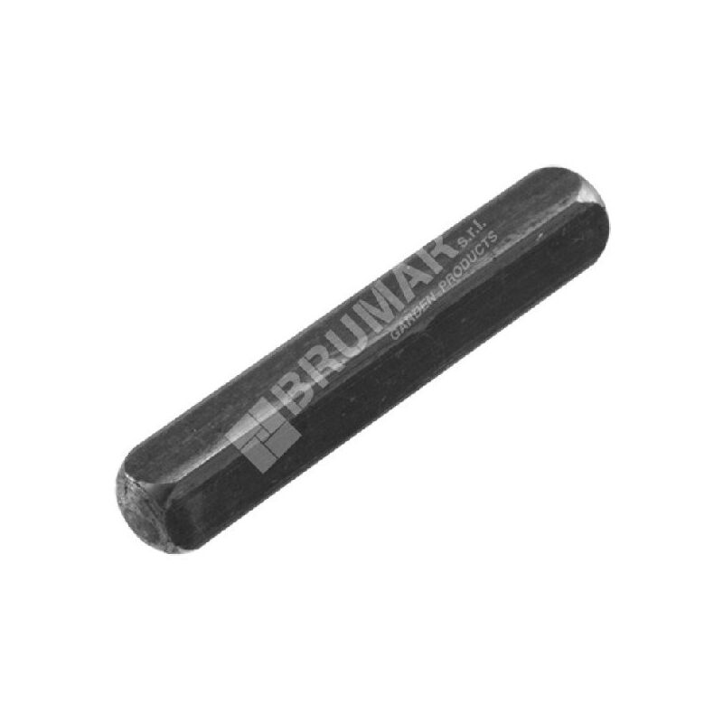 foto del prodotto chiavetta per rasaerba daye - dayee dy0701.31 compatibile - 027811