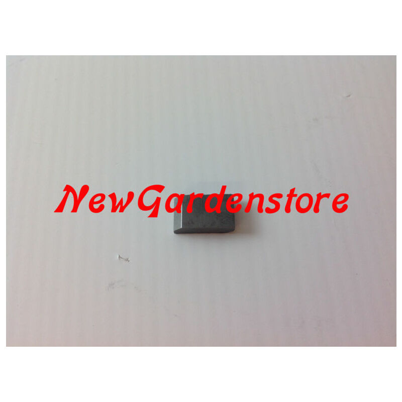 foto del prodotto chiavetta ruota pignone trazione avanzamento rasaerba 100194 harry 40531670