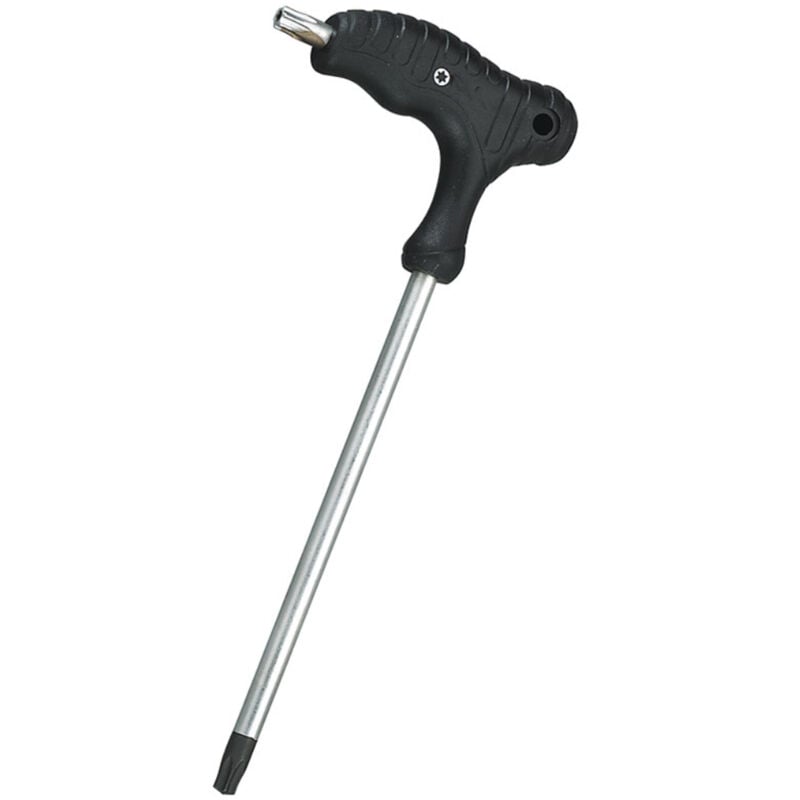 foto del prodotto chiavi maschio torx con manico in plastica t40 fervi 0855 t40