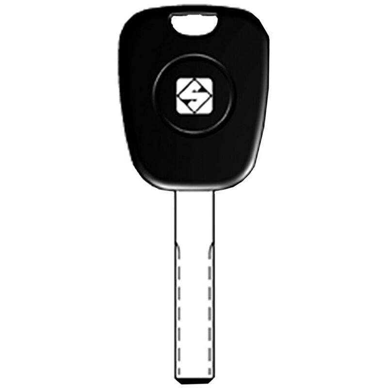 foto del prodotto chiavi transponder silver nickel sip16te