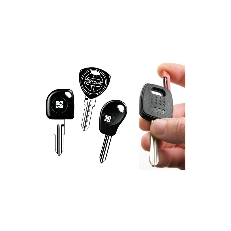 foto del prodotto chiavi trasponder silca citroen sx 9 t5