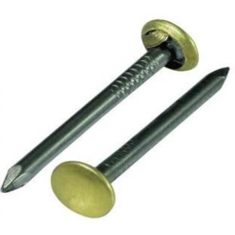 foto del prodotto chiodi acciaio testa ottonata 30mm maurer one price cf blister 15pz