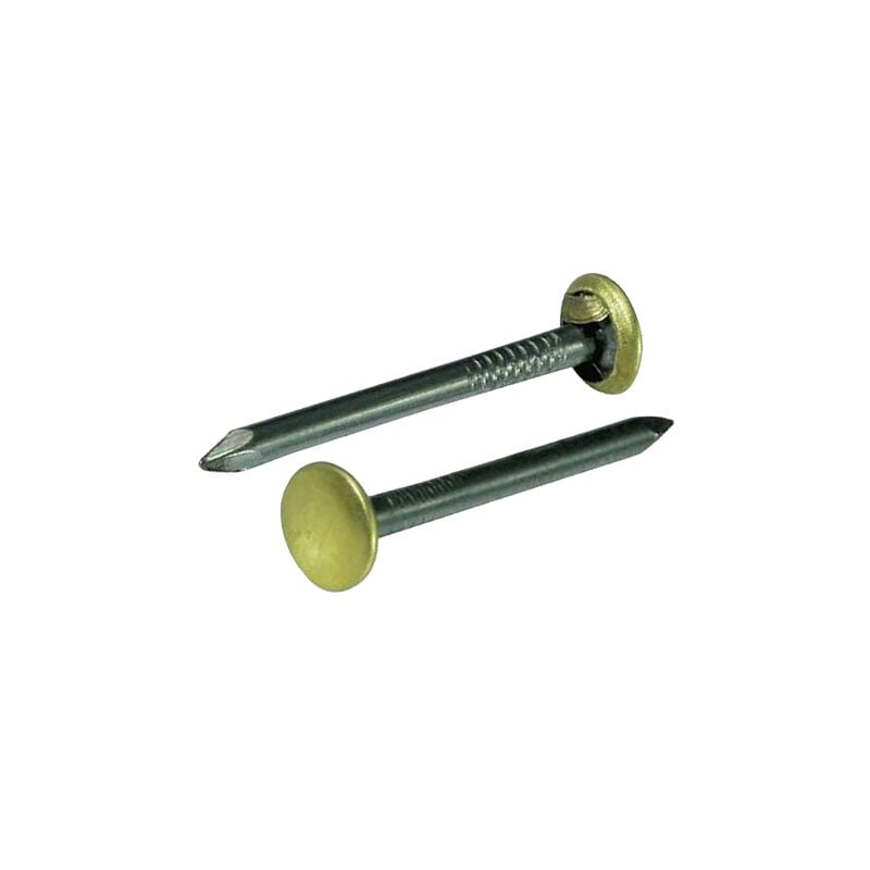 foto del prodotto chiodi acciaio testa ottonata misura mm. 20 conf. 10 scatole da 100 pz 1000 pz 