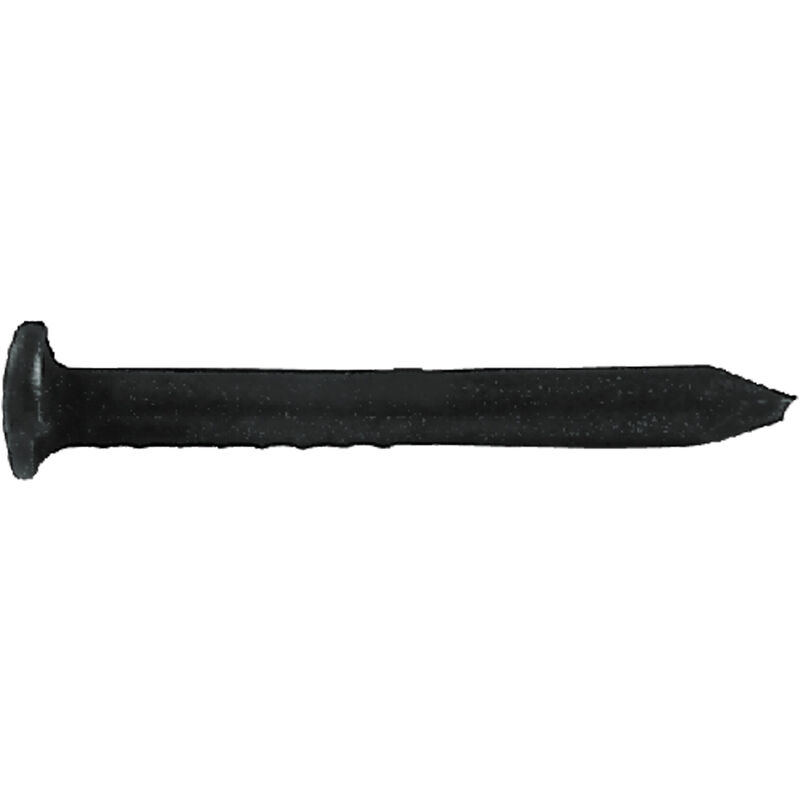 foto del prodotto chiodi testa bombata tb 2,5 x 30
