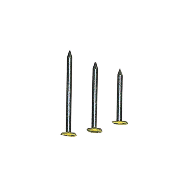 foto del prodotto chiodi testa ricop. ottone mm. 2x25 cf.pz.100