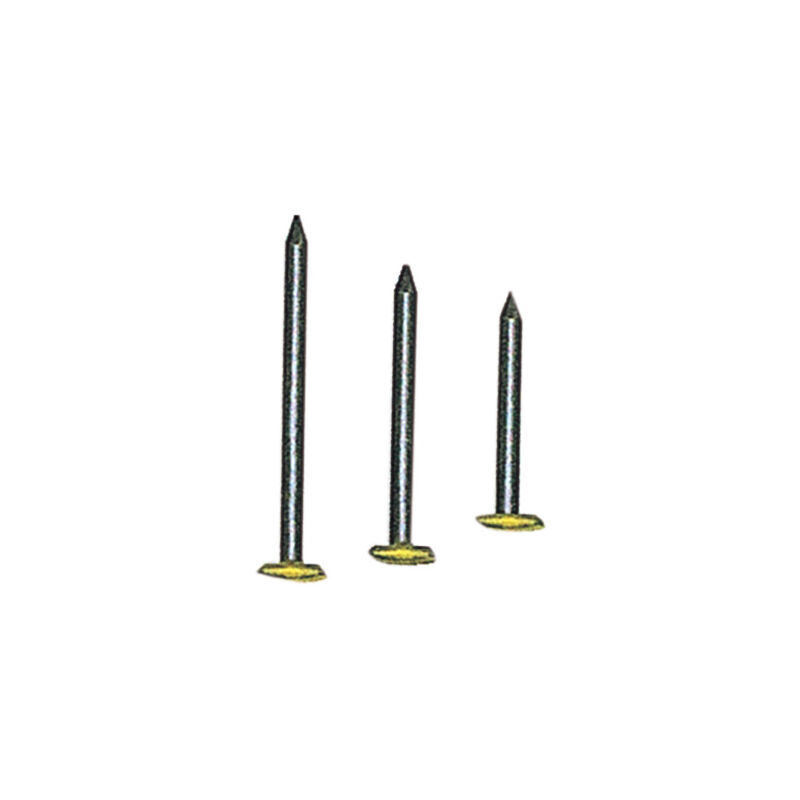 foto del prodotto chiodi testa ricop. ottone mm. 2x30 cf.pz.100