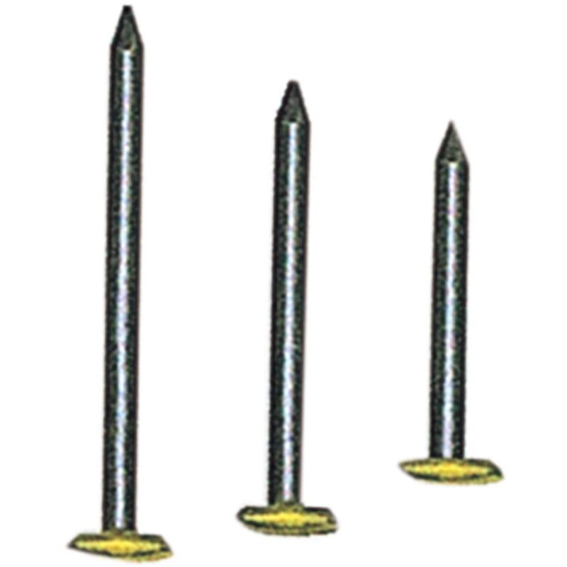 foto del prodotto chiodi testa ricoperta ottone mm.2x20 conf 100 pz 10 cf