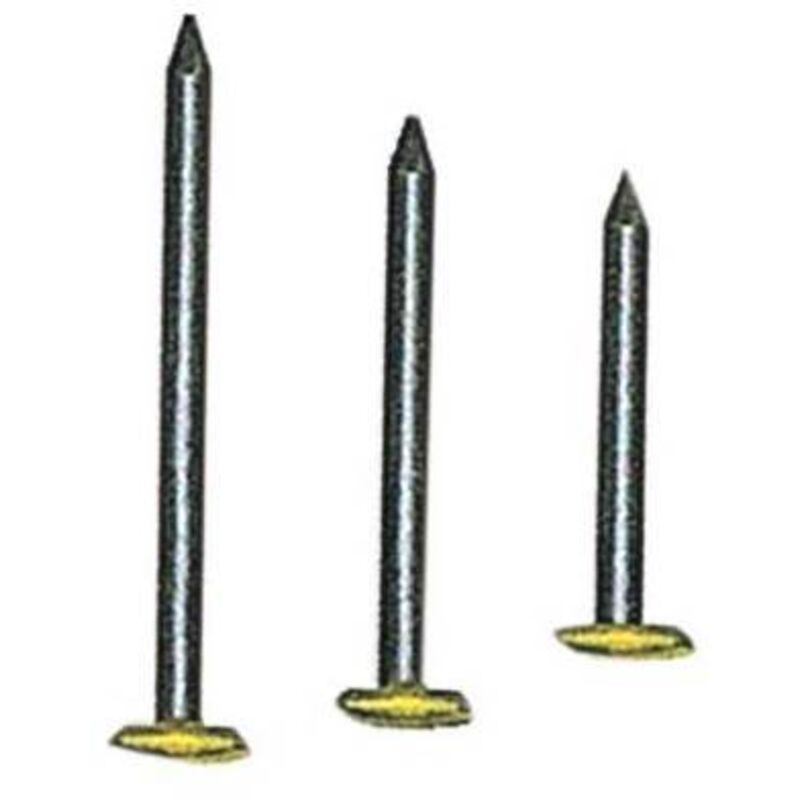 foto del prodotto chiodi testa ricoperto ottone mm. 2x20 cf.pz.10010 cf