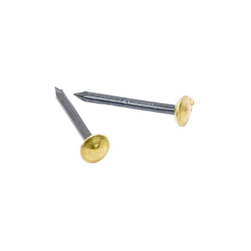 foto del prodotto chiodi testa rivestita rame mm.2x20