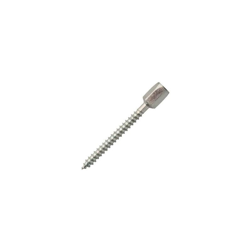 foto del prodotto chiodo femmina pavb per asta filettata 6x100 scell it pfwm6