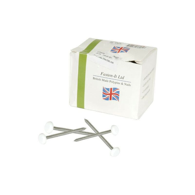 foto del prodotto chiodo in acciaio inox nicoll con punta in plastica bianca per belriv - l.65 mm - 100 pezzi - ci65b