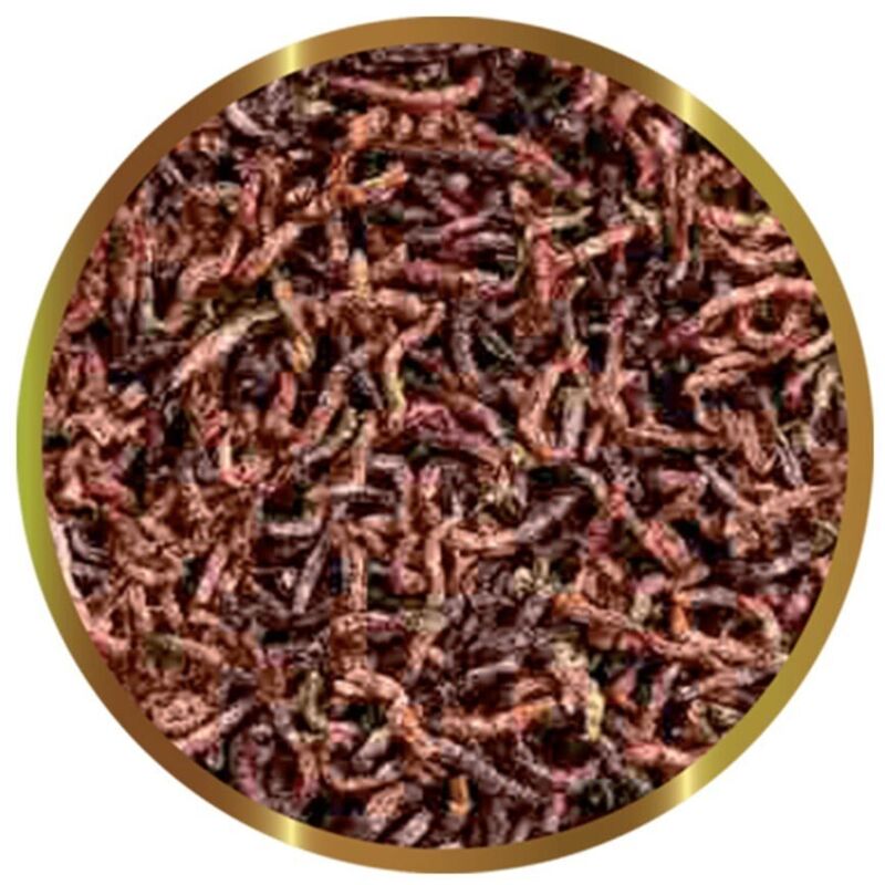 foto del prodotto chironomus larve di zanzara liofilizzate formato 30 gr shg