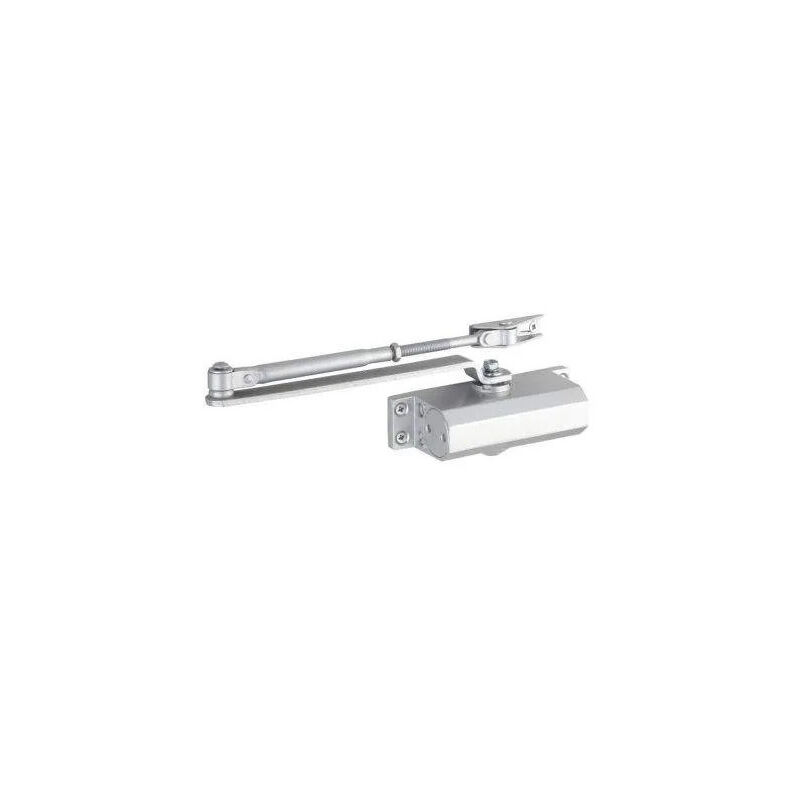 foto del prodotto chiudiporta automatico idraulico eco 30kg, bb1