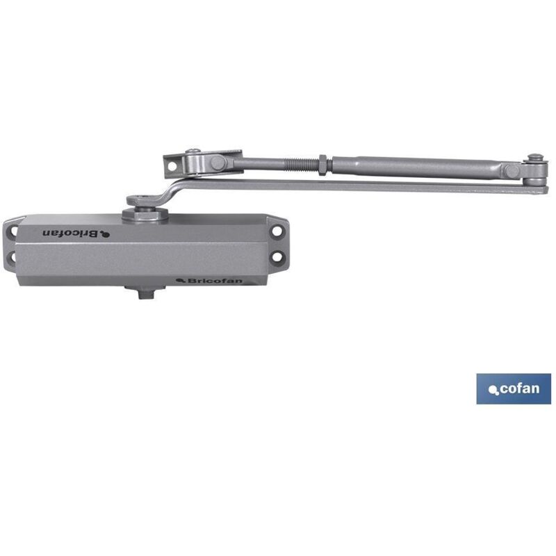 foto del prodotto chiudiporta con ritenzione - 40 65 kg - finitura argento