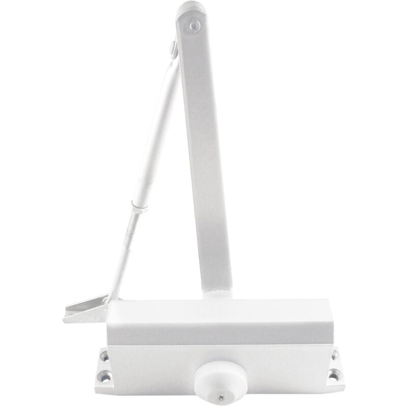 foto del prodotto chiudiporta reversibile handlock ds503 bianco con fermo