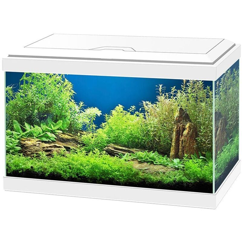 foto del prodotto ciano acquario aqua 20 led cm40x20x25h colore bianco