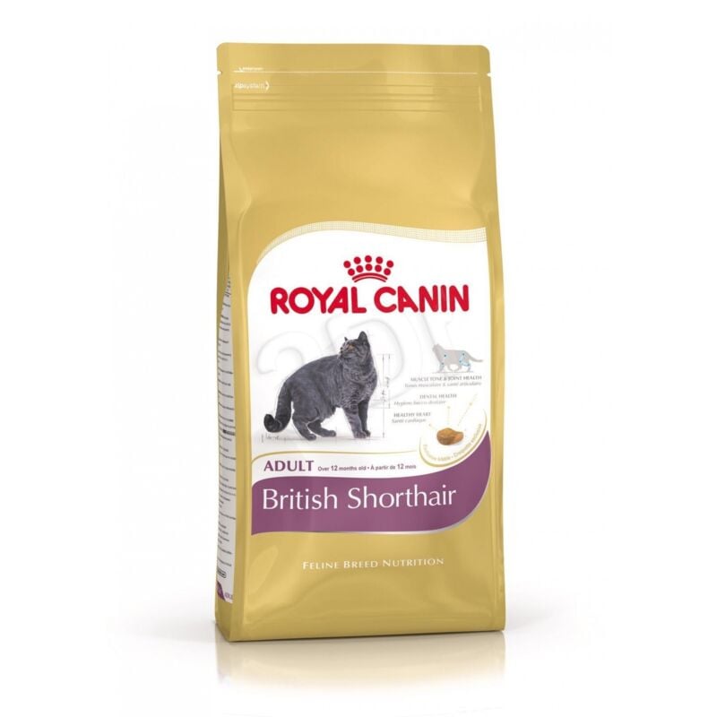 foto del prodotto cibo per gattini royal canin british - 2 kg
