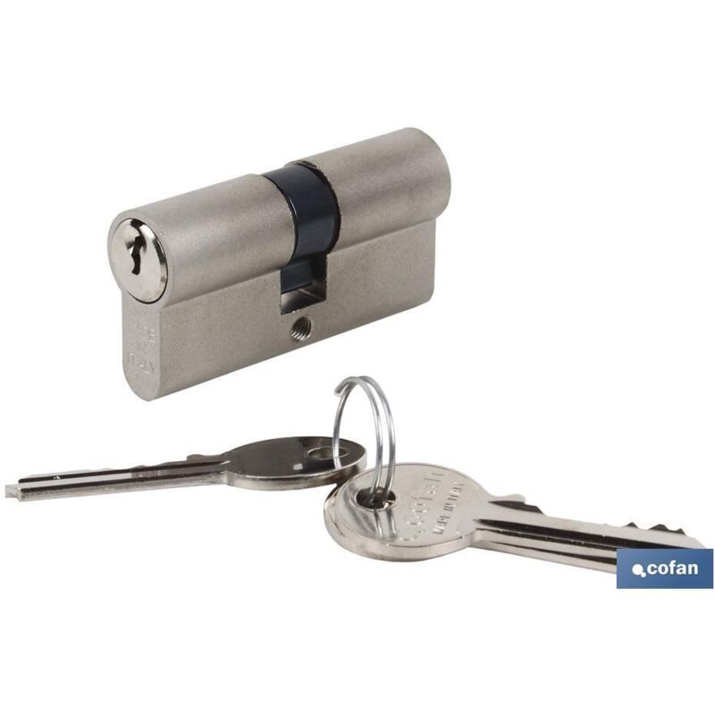 foto del prodotto cilindro 30 40 con chiave uguale - camma lunga - nichel opaco aaa