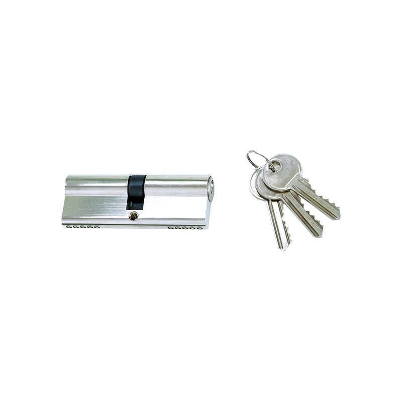 foto del prodotto cilindro 40 40 per porte ingresso con tre chiavi