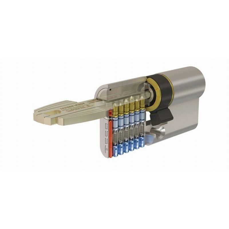 foto del prodotto cilindro di sicurezza tesa t60 nichelato 30 x 30 variegato 5 chiavi t65d3030n