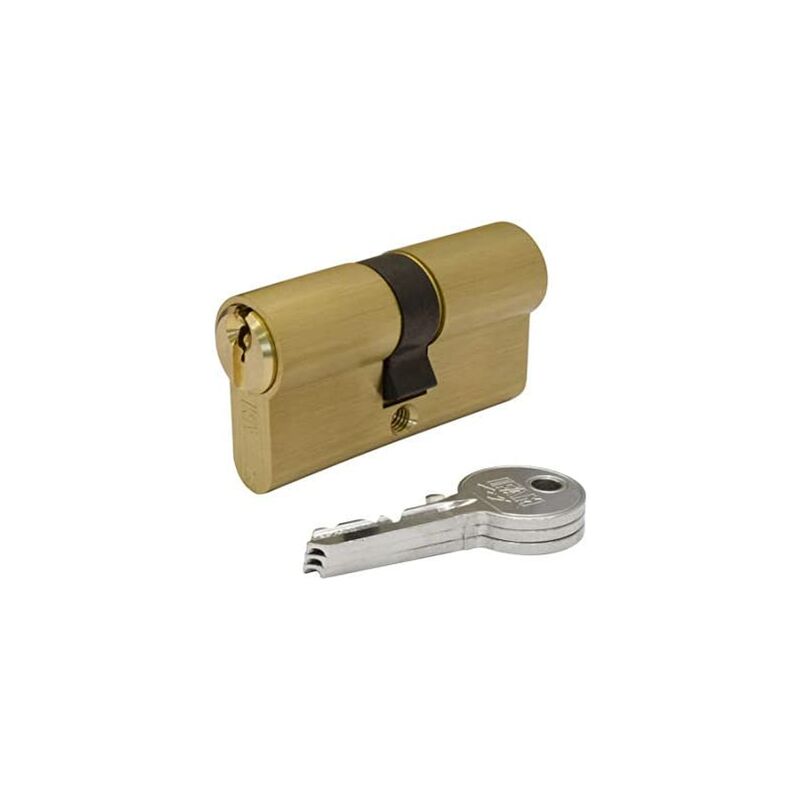 foto del prodotto cilindro f5s3030l in ottone lungo 60mm 30 30mm camma 15mm. con 3 chiavi dentate. ifam