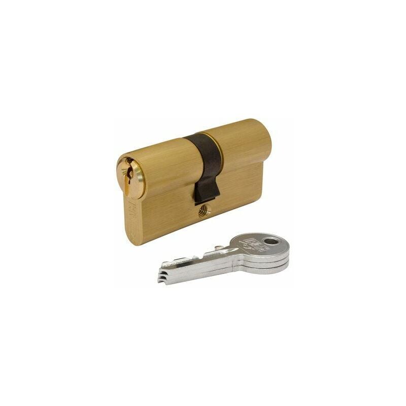 foto del prodotto cilindro f5s3030lc in ottone 60mm 30 30mm camma corta 13mm. con 3 chiavi dentate. ifam