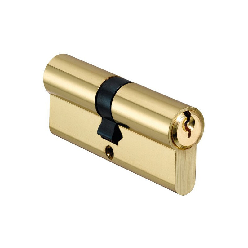 foto del prodotto cilindro in ottone 80 mm 40x40 v5x40 serie c 3601659748649 ifam 674864