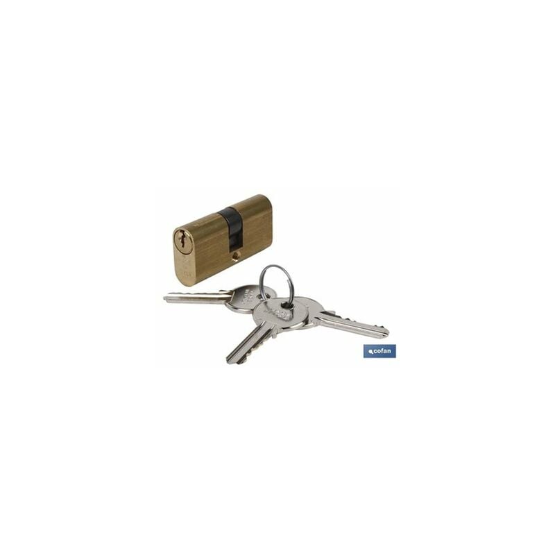 foto del prodotto cilindro ovale 30 40 l. ottone lungo aaa chiavi uguali