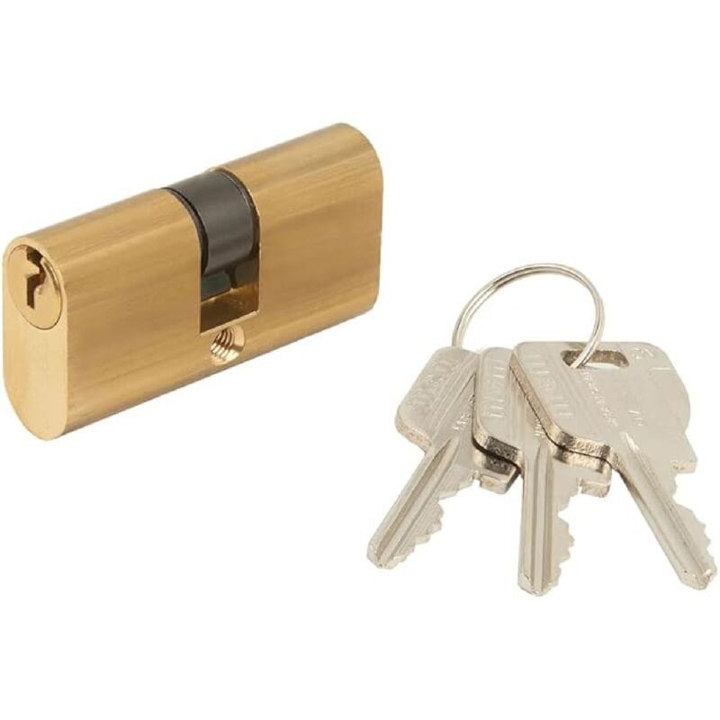 foto del prodotto cilindro ovale da infilare sicurezza e affidabilit per le tue serrature 22 mm 54 mm