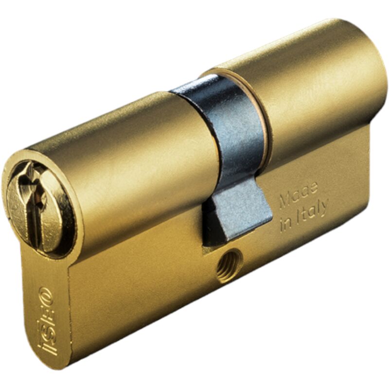 foto del prodotto cilindro ovale in ottone a 5 perni per serrature a infilare centrale e decentrato iseo art. 8209 centrale 80 mm