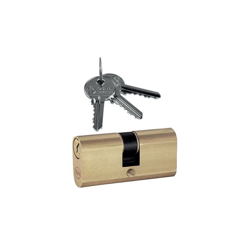 foto del prodotto cilindro ovale serie 090 corni 80 mm 48 10 22 