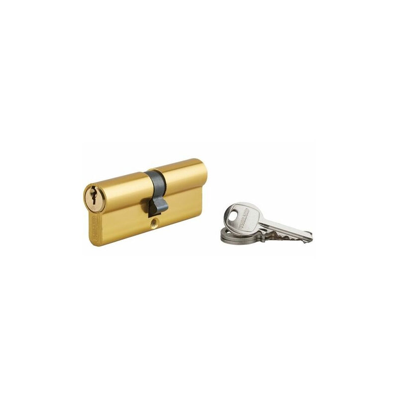 foto del prodotto cilindro profilato ottonato thirard ecopro 40x40 40 mm vite 00007191