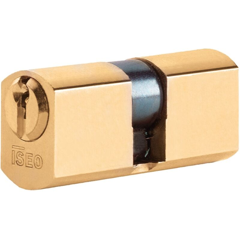 foto del prodotto cilindro sfaccettato doppio profilo 56mm centrale art 842028287 iseo