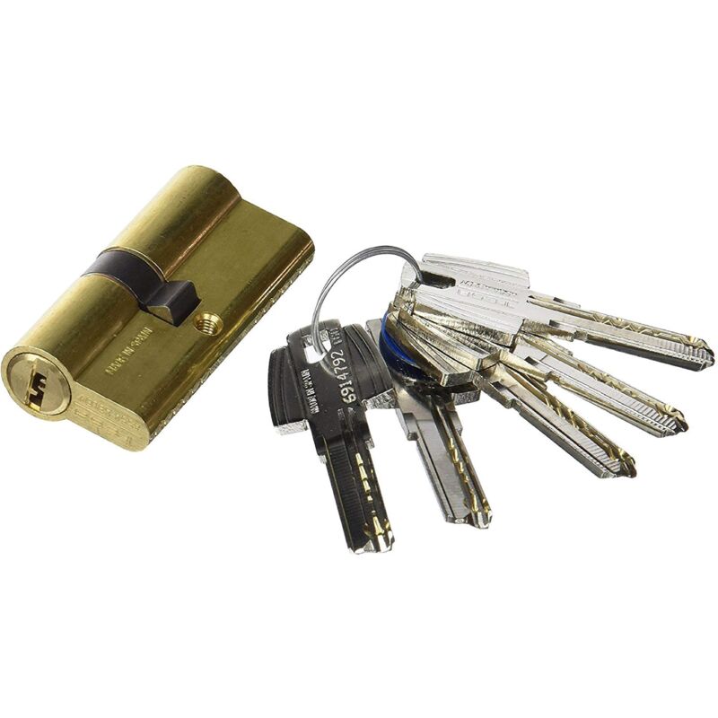 foto del prodotto cilindro t60 tesa profilo euro doppio da 30x30, leva r15, frizione doppia sicurezza, finitura ottone. 5 chiavi.