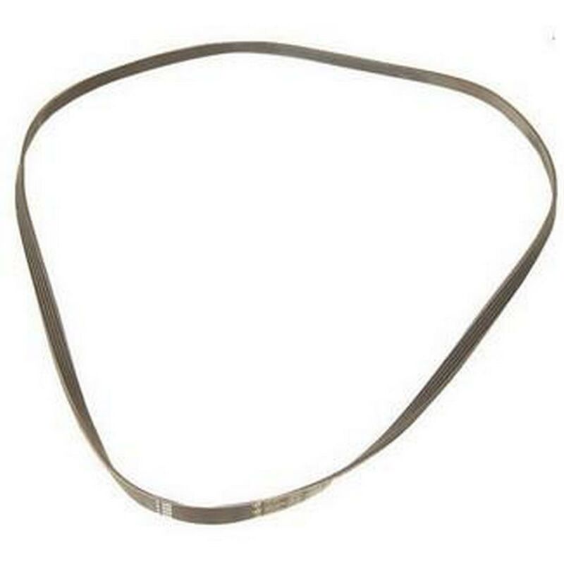 foto del prodotto cinghia 1222 j5 originale lavatrice vedette 1220583663946175965